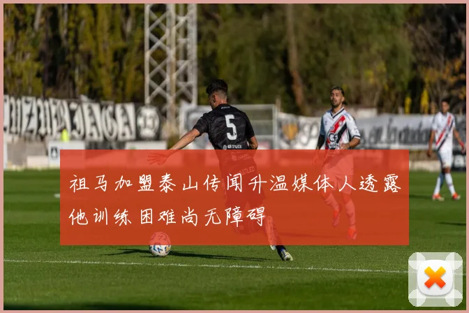 祖马加盟泰山传闻升温媒体人透露他训练困难尚无障碍