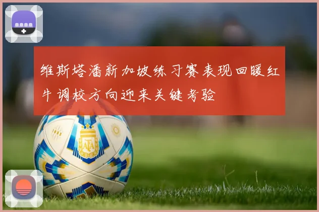 维斯塔潘新加坡练习赛表现回暖红牛调校方向迎来关键考验